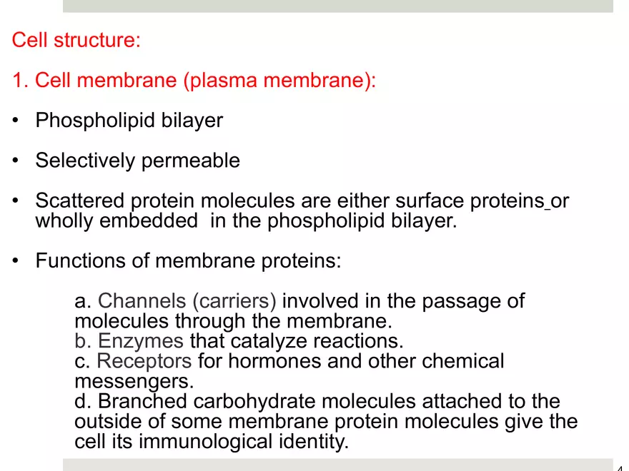 Organization of the Body Note - Page 4