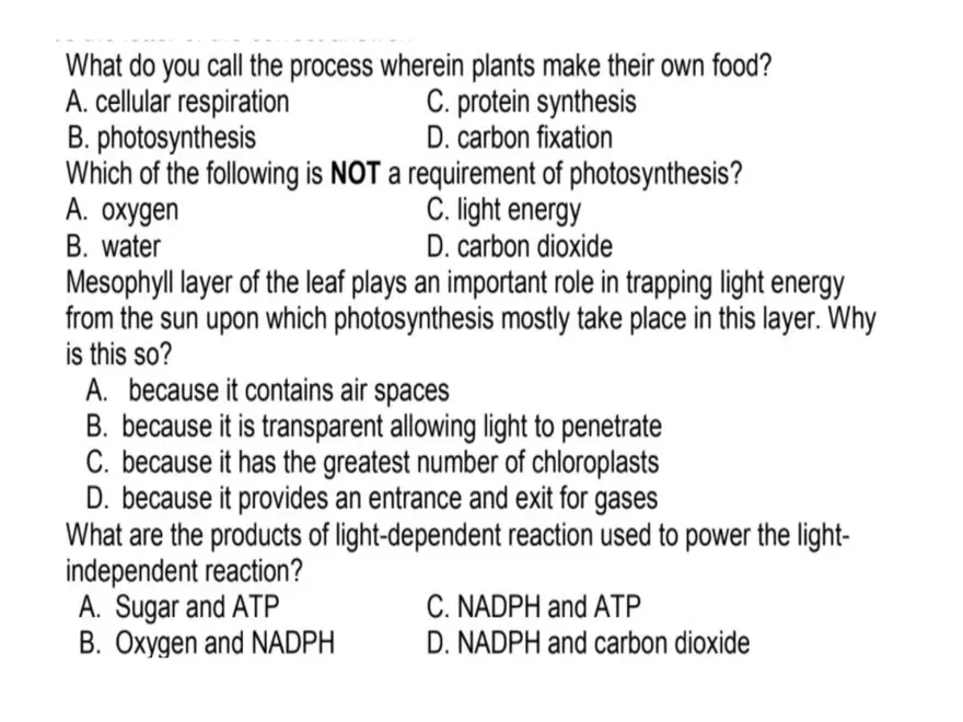 Life’s Grand Device - Page 2