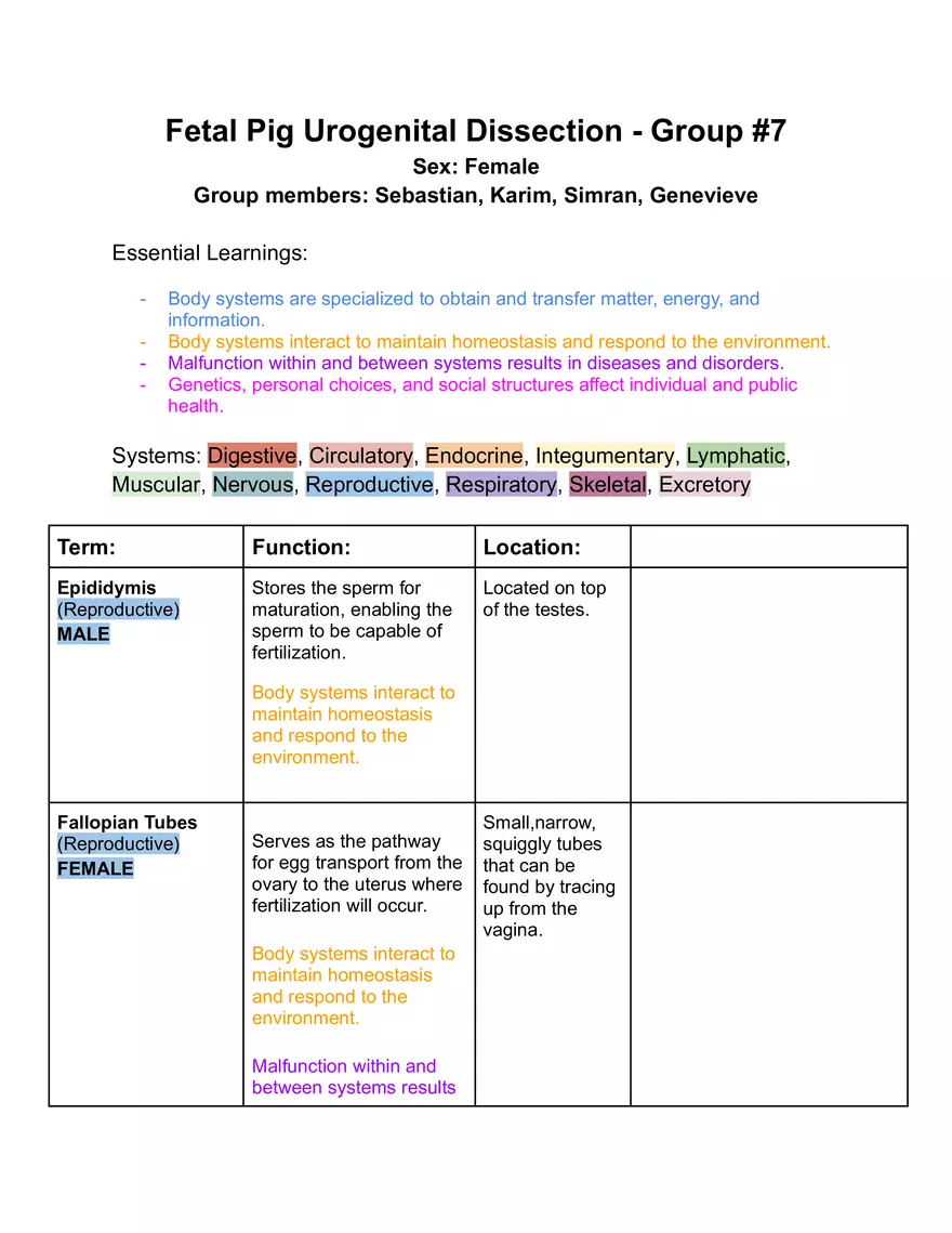 Fetal Pig Urogenital Dissection - Page 1