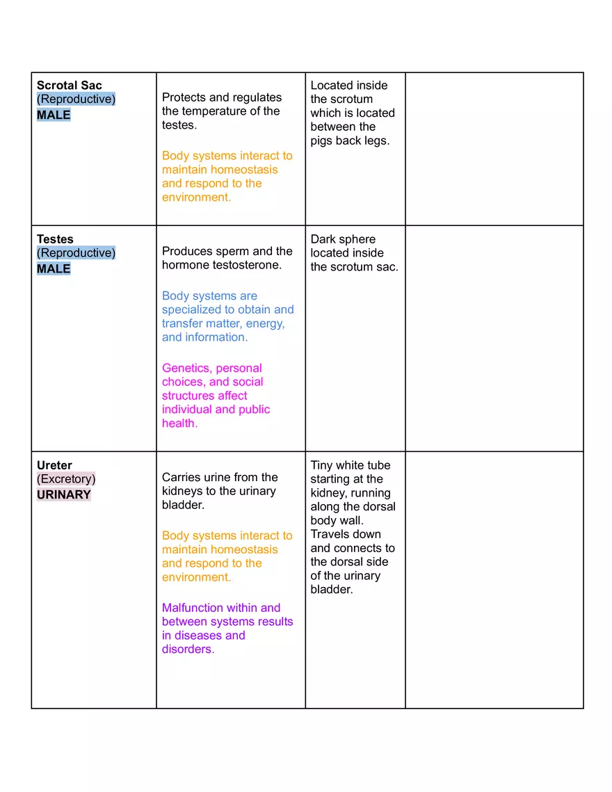 Fetal Pig Urogenital Dissection - Page 3