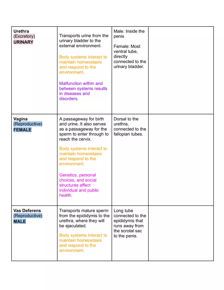 Fetal Pig Urogenital Dissection - Page 4