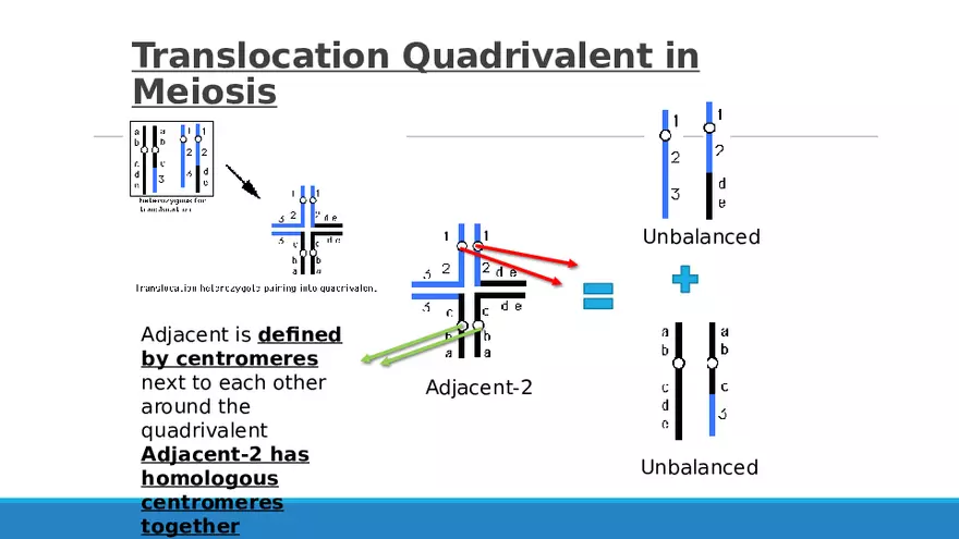 Summary of Aneuploidies Part 3 - Page 2