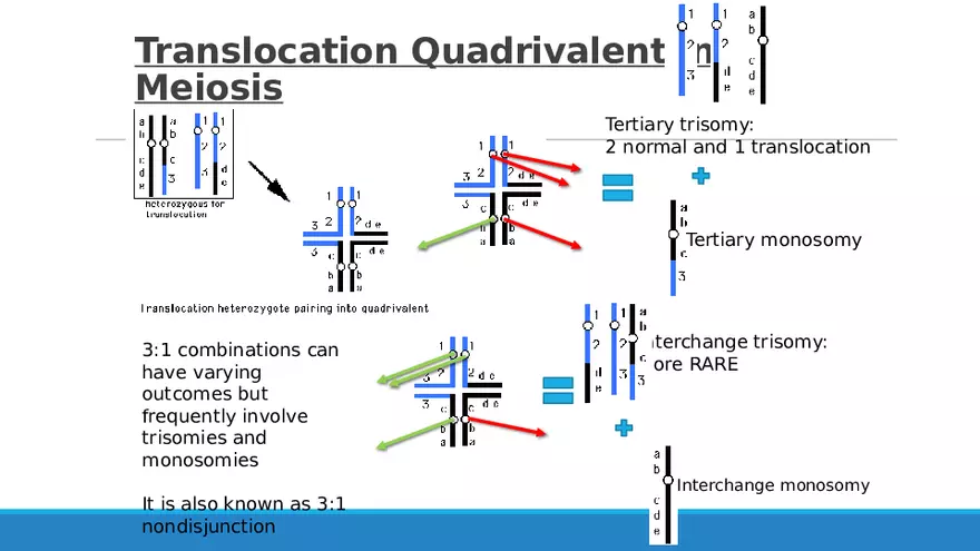 Summary of Aneuploidies Part 3 - Page 4