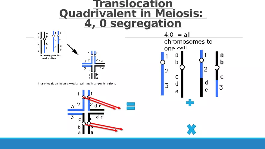 Summary of Aneuploidies Part 3 - Page 6