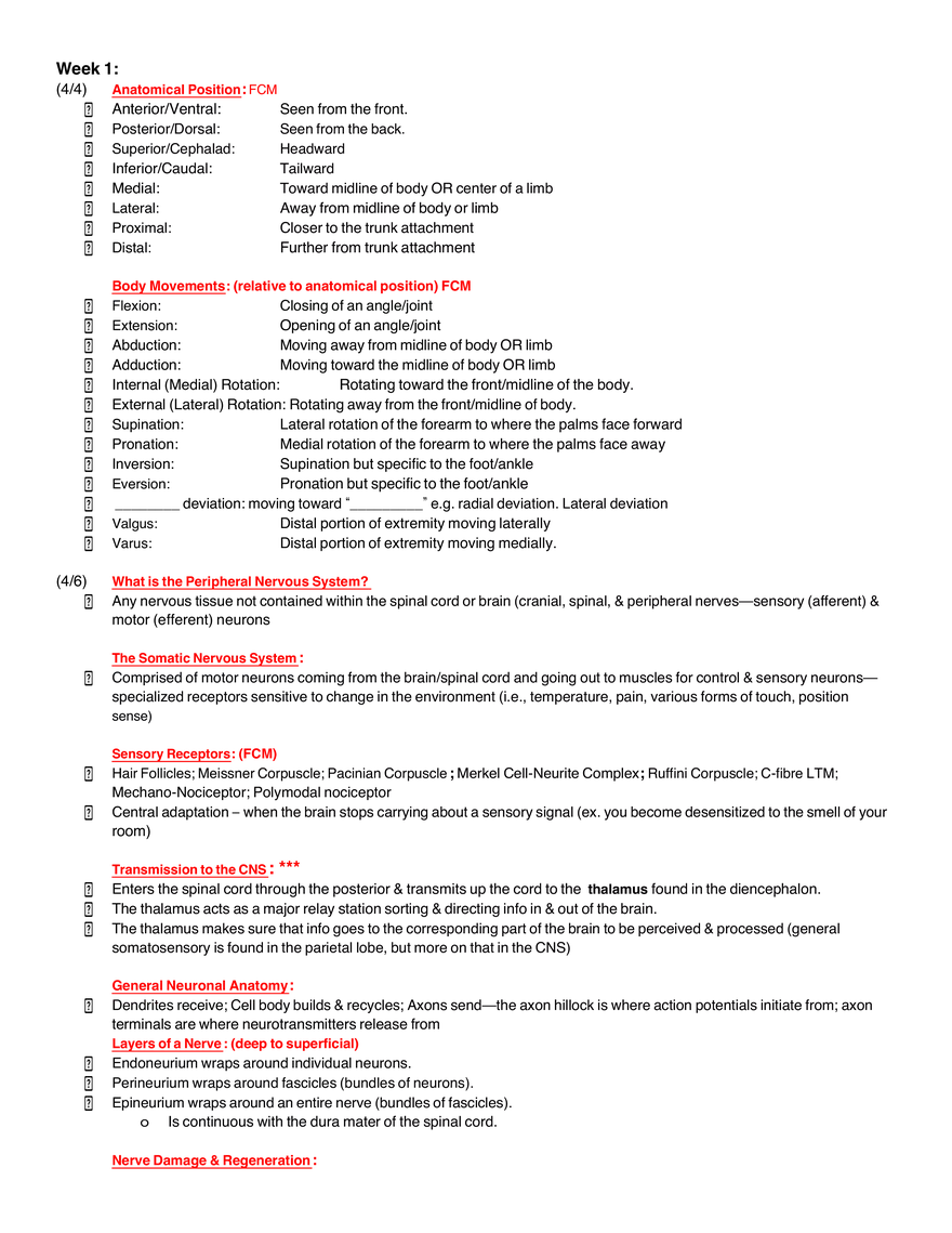 Peripheral Neuroanatomy - Page 2