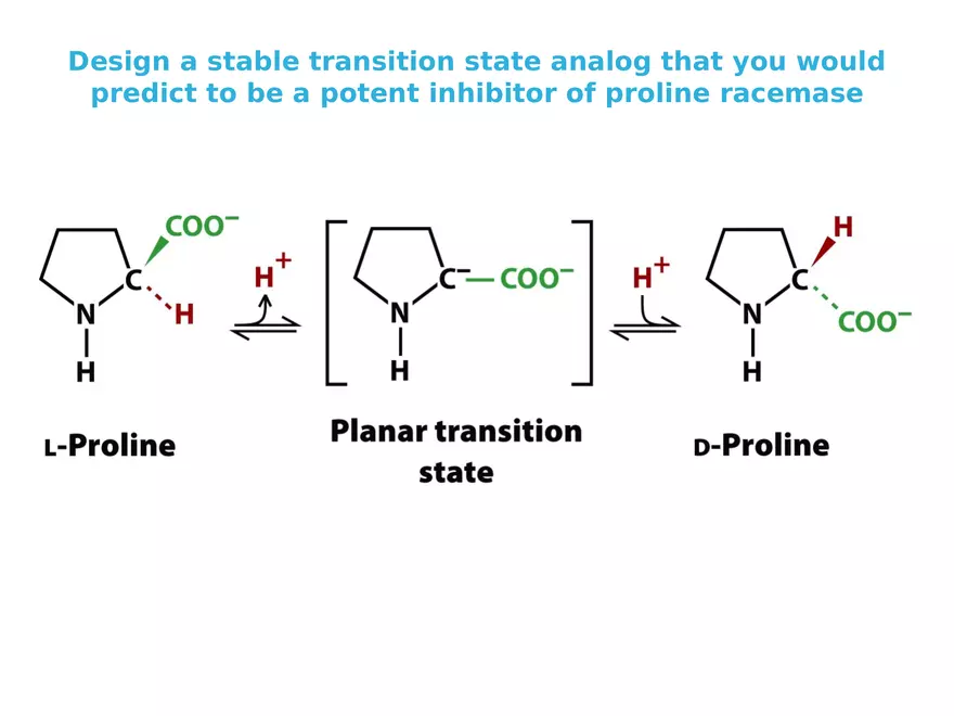 Principles of Biochemistry - Enzymes Lecture 4 - Page 1
