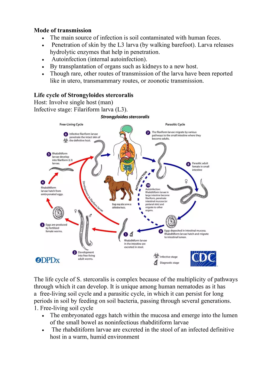 Strongyloides Stercoralis - Page 4