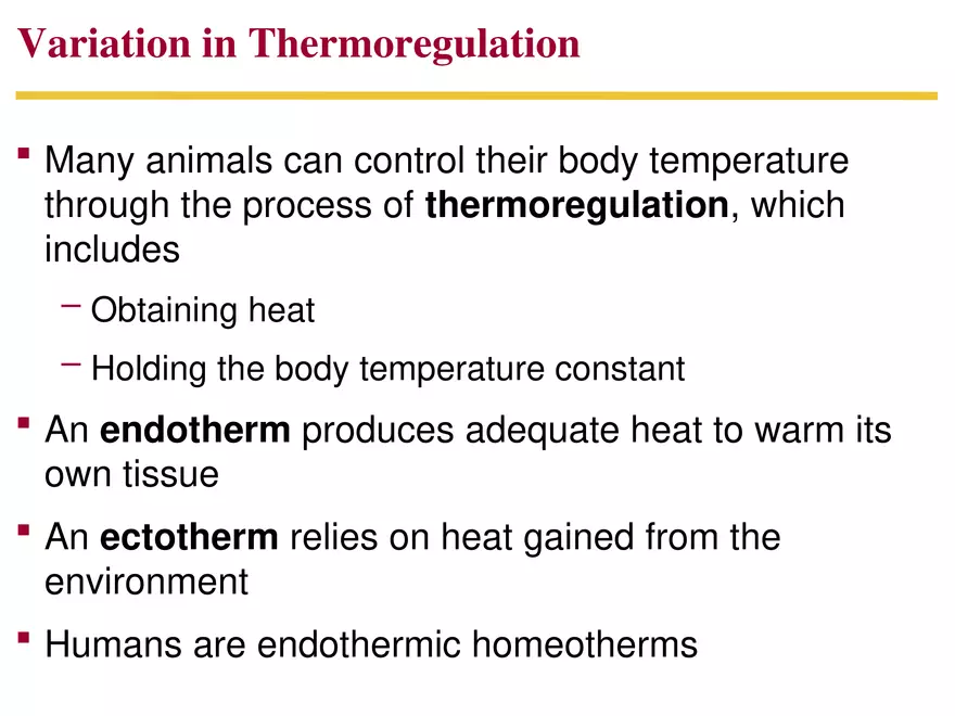 Animal Form and Function Lecture 3 - Page 10