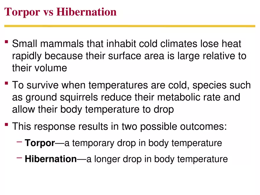 Animal Form and Function Lecture 3 - Page 11