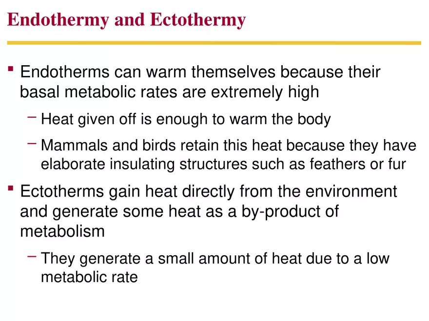Animal Form and Function Lecture 3 - Page 12