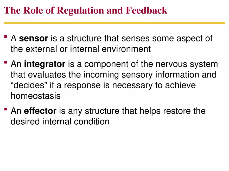 Animal Form and Function Lecture 3 - Page 2