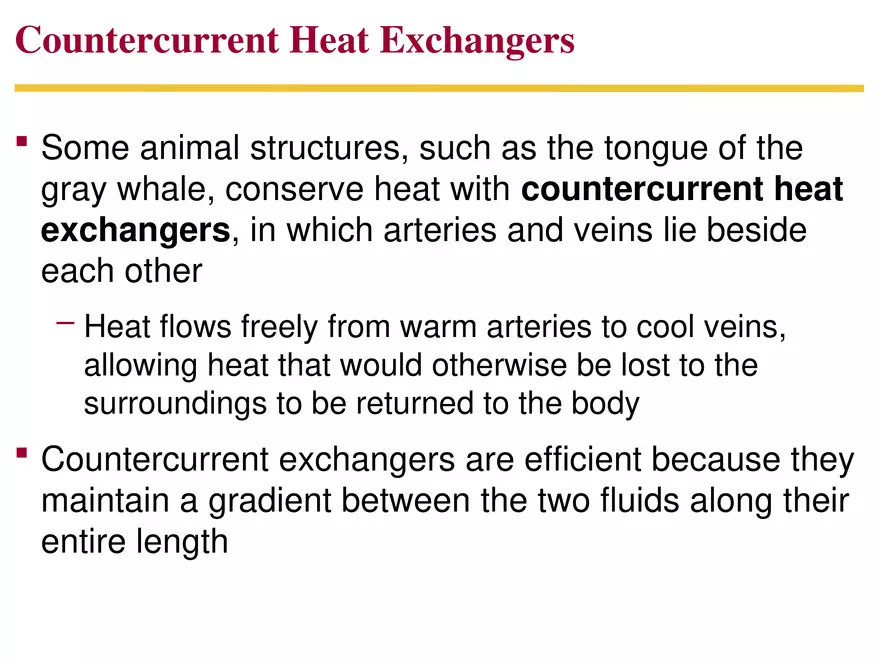 Animal Form and Function Lecture 3 - Page 3
