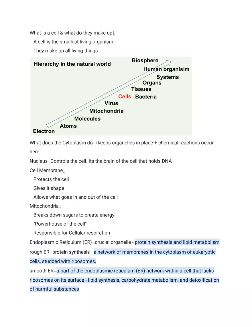 Hierarchy in the Natural World - Page 1
