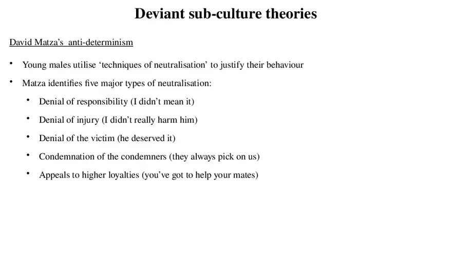 Theories of Crime Unit 3 Part 4 - Page 11