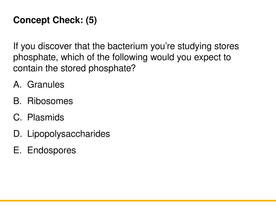 A Survey of Prokaryotic Cells and Microorganisms Lecture 6 - Page 11