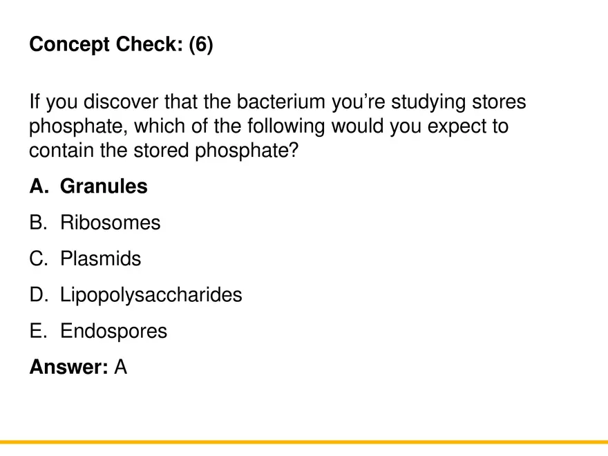 A Survey of Prokaryotic Cells and Microorganisms Lecture 6 - Page 3