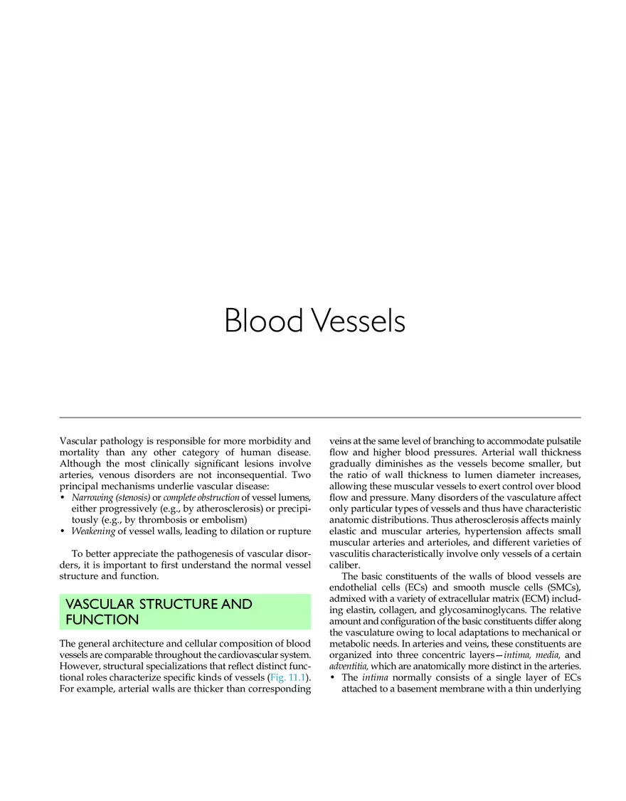 Blood Vessels Study Guide - Page 1