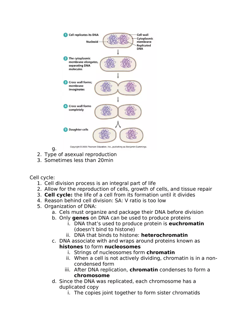 Prokaryotic Signaling - Page 3