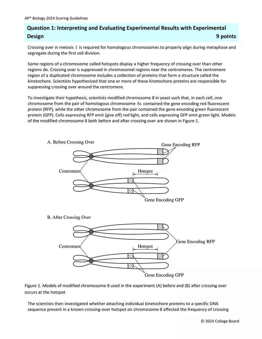 AP Sample Student Responses and Scoring Commentary - Page 2