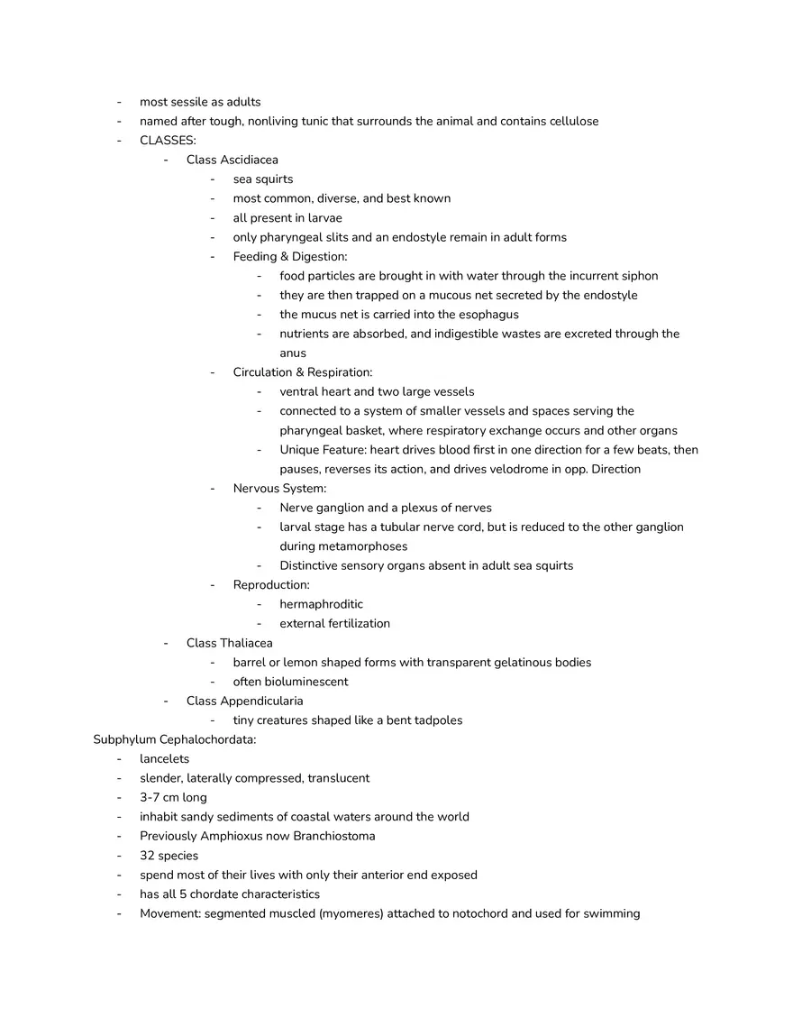 Chordates - Characteristics and Classification - Page 3