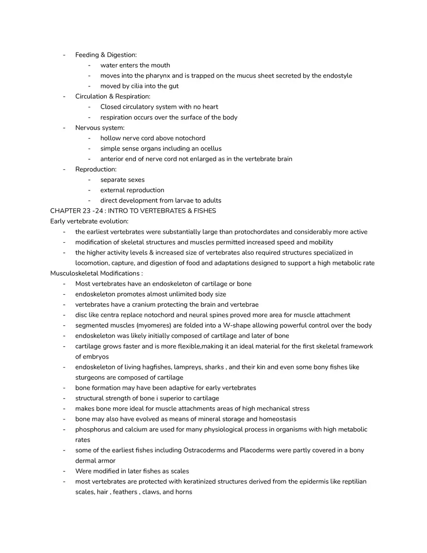 Chordates - Characteristics and Classification - Page 4