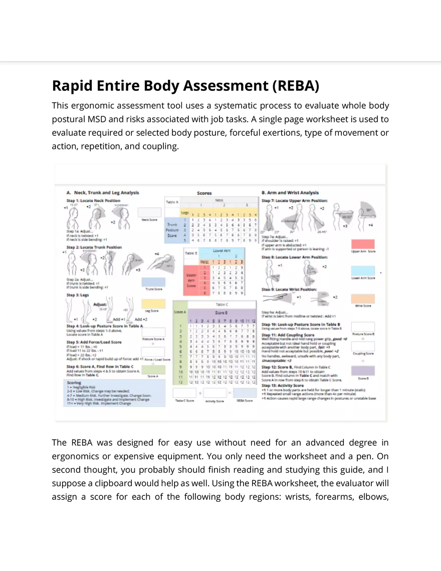 Rapid Entire Body Assessment - Page 2