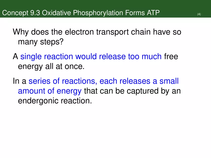 Pathways That Harvest Chemical Energy Lecture Part 4 - Page 7