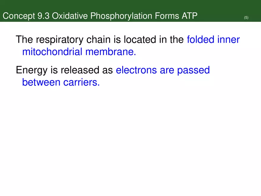 Pathways That Harvest Chemical Energy Lecture Part 4 - Page 8