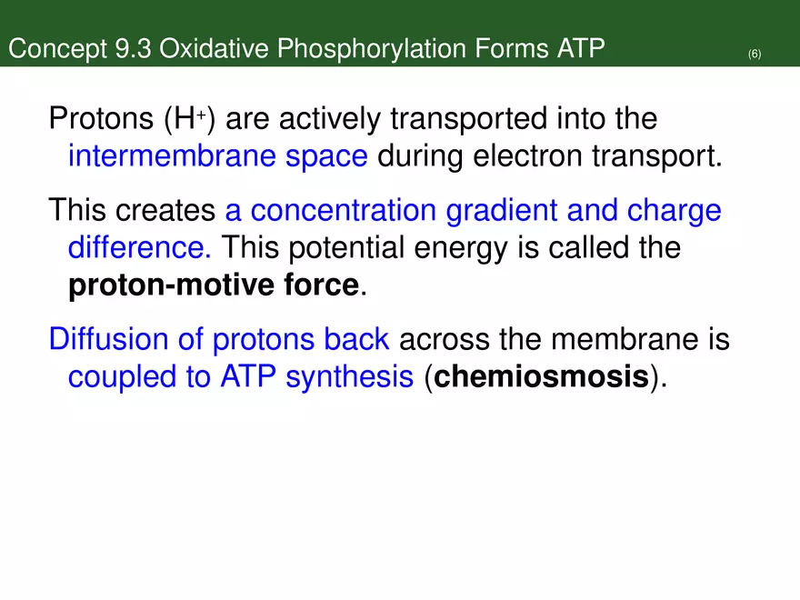Pathways That Harvest Chemical Energy Lecture Part 4 - Page 10
