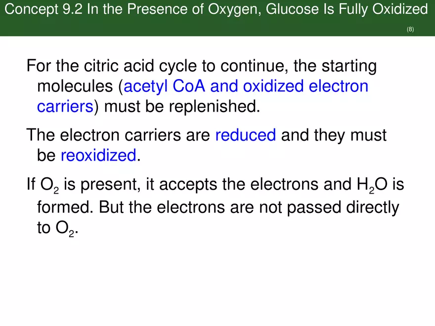 Pathways That Harvest Chemical Energy Lecture Part 4 - Page 2