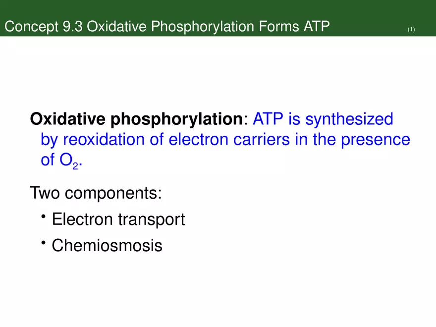 Pathways That Harvest Chemical Energy Lecture Part 4 - Page 4