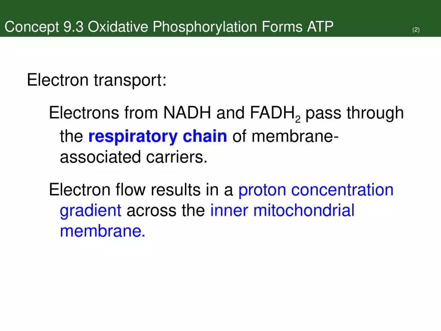 Pathways That Harvest Chemical Energy Lecture Part 4 - Page 5