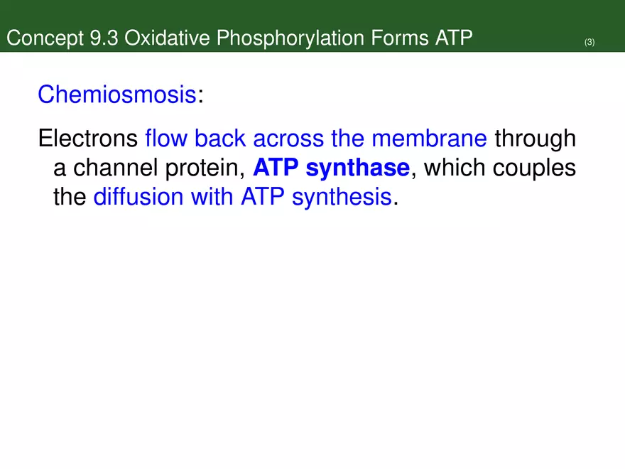 Pathways That Harvest Chemical Energy Lecture Part 4 - Page 6