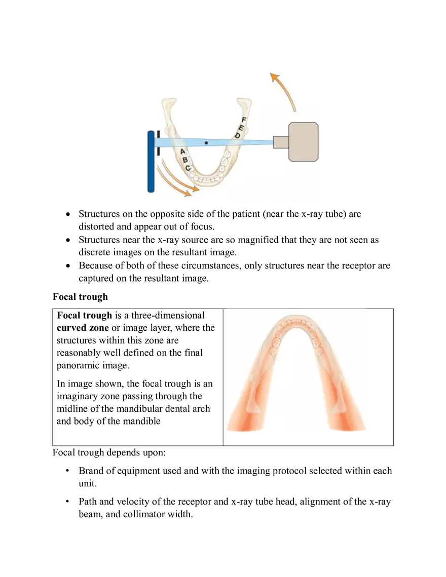 Oral Radiology - Page 3
