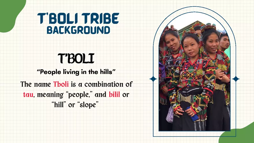 The T'boli Tribe Culture and Heritage of Mindanao - Page 3
