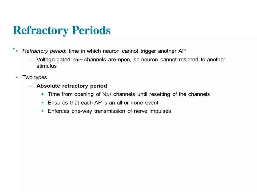 Fundamentals of the Nervous System and Nervous Tissue Lectrure 8 - Page 11