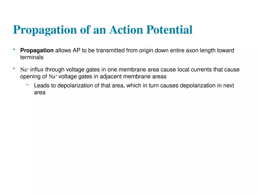 Fundamentals of the Nervous System and Nervous Tissue Lectrure 8 - Page 4