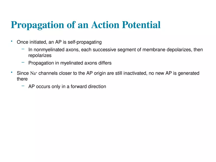 Fundamentals of the Nervous System and Nervous Tissue Lectrure 8 - Page 5