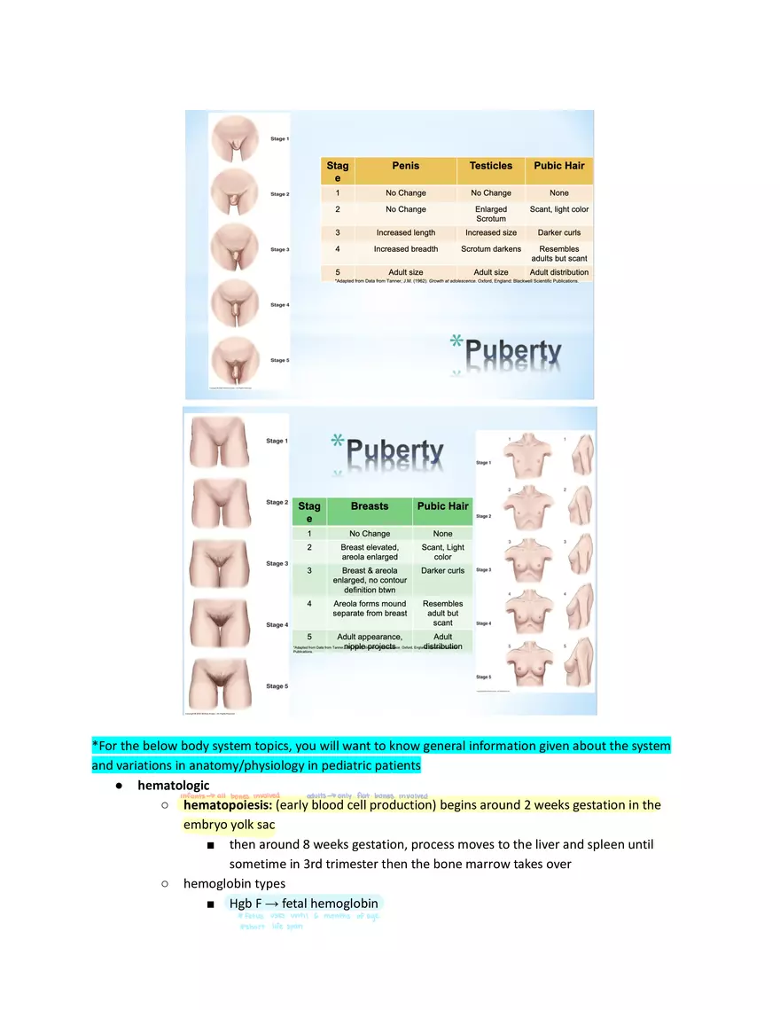 Pediatric Nursing School-age (6-12 Years Old) - Page 3
