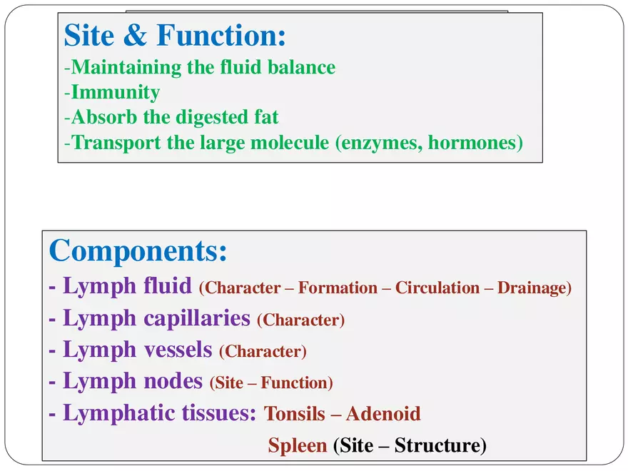 The Lymphatic System - Page 4