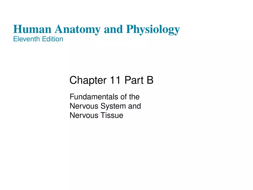 Fundamentals of the Nervous System and Nervous Tissue Lectrure 5 - Page 1