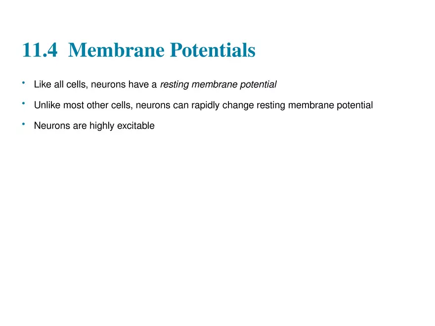 Fundamentals of the Nervous System and Nervous Tissue Lectrure 5 - Page 2