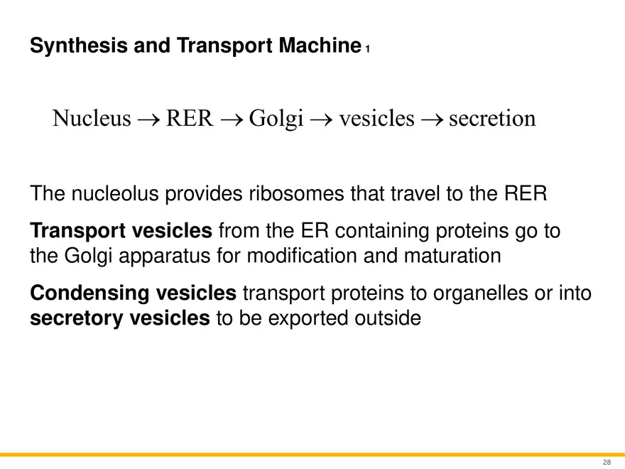A Survey of Eukaryotic Cells and Microorganisms Part 3 - Page 7