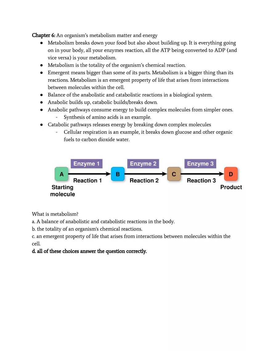 An Organism’s Metabolism Matter and Energy - Page 1