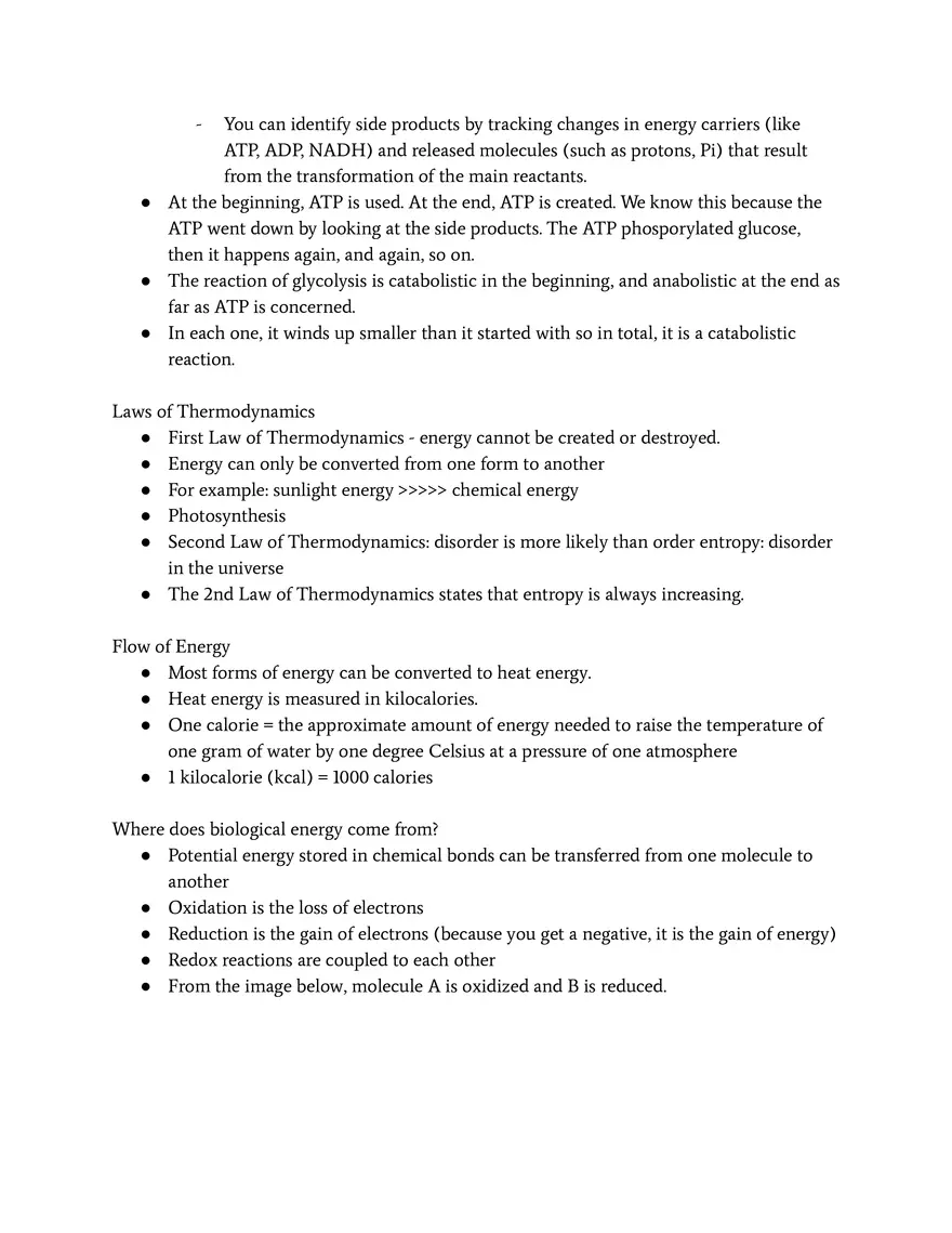 An Organism’s Metabolism Matter and Energy - Page 4