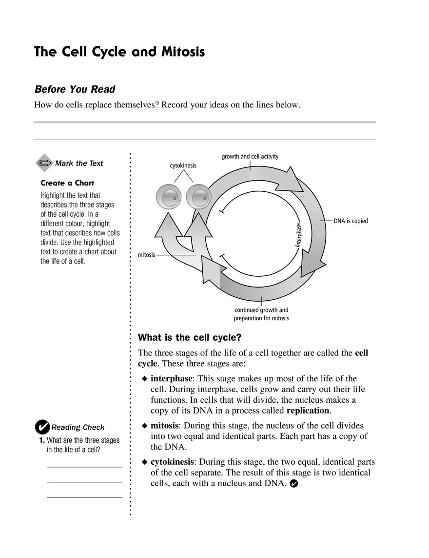 How Do Cells Replace Themselves - Page 1