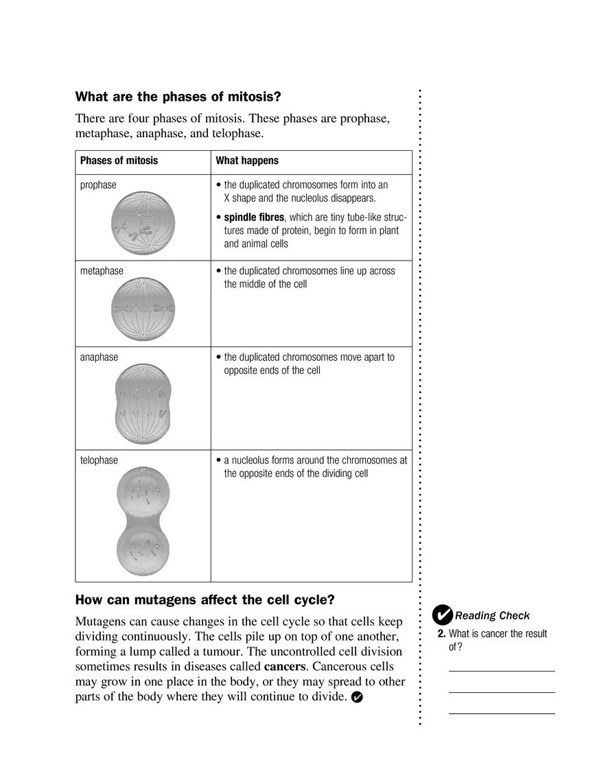How Do Cells Replace Themselves - Page 2