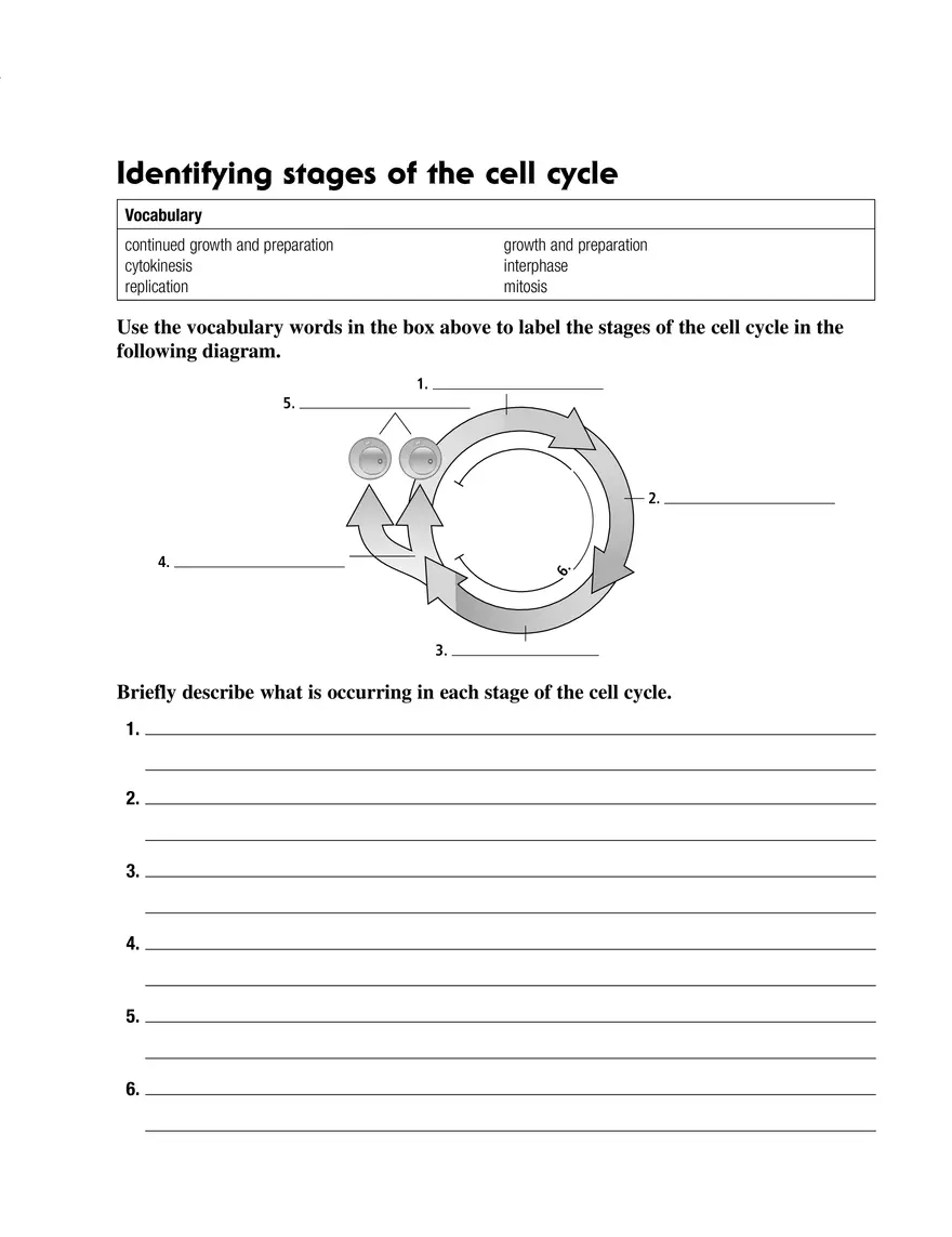 How Do Cells Replace Themselves - Page 4