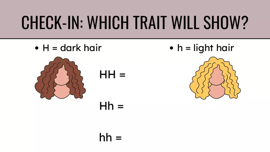 Genes & Alleles - Page 7