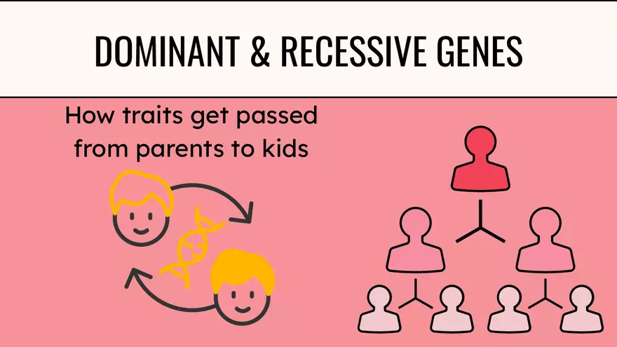 Genes & Alleles - Page 1